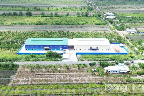 Xã Tân Phước 2: Tạo đà bứt phá trong phát triển kinh tế - xã hội