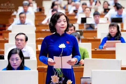 Đại biểu Quốc hội tỉnh Đồng Tháp đóng góp nhiều ý kiến thiết thực hoàn thiện Luật Hỗ trợ doanh nghiệp nhỏ và vừa