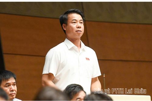 Đại biểu Hoàng Quốc Khánh đề nghị miễn tiền sử dụng đất cho hộ nghèo, cận nghèo là đồng bào dân tộc thiểu số