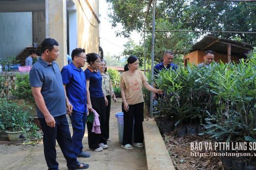 Thấy tận mắt, học tận nơi