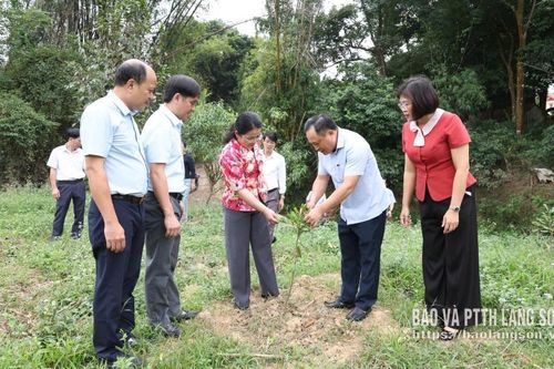 Kiểm tra việc thực hiện Nghị quyết số 24 tại các phường