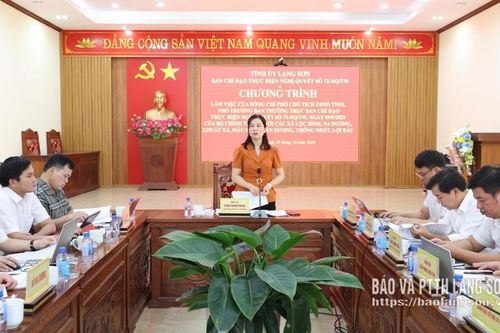 Lãnh đạo UBND tỉnh làm việc với các xã khu vực Lộc Bình