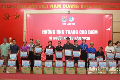 Tỉnh đoàn tổ chức hoạt động xây dựng nông thôn mới tại xã Đồng Đăng