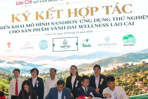 Lào Cai định vị và phát triển Vành đai du lịch Wellness Tây Bắc