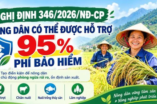 Nông dân có thể được hỗ trợ tới 95% phí bảo hiểm