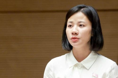 Đại biểu Quốc hội tỉnh Lào Cai Phạm Thị Phương đề xuất hoàn thiện chính sách đất đai đối với đồng bào dân tộc thiểu số