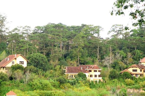 'Đánh thức' nguồn lực từ những biệt thự công Đà Lạt