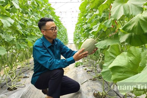Đào tạo nông dân chuyên nghiệp