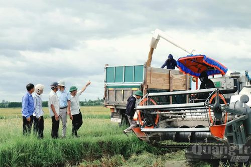 'Đặt hàng' từ đồng ruộng