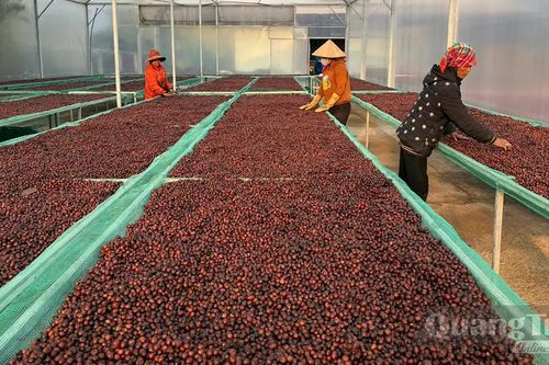 Từ phụ phẩm đến nguồn tài nguyên giá trị