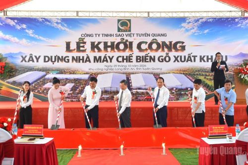 Khởi công xây dựng nhà máy chế biến gỗ xuất khẩu