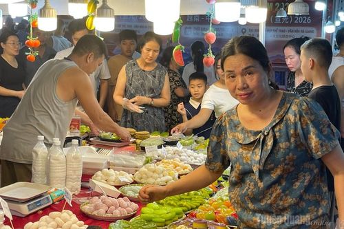Công bố 30 xã, phường được bố trí địa điểm tổ chức hội chợ, triển lãm thương mại năm 2027