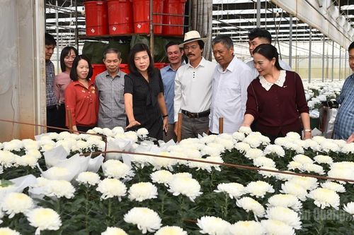 Đoàn công tác Ban Thường vụ Tỉnh ủy Tuyên Quang khảo sát các mô hình nông nghiệp công nghệ cao, du lịch thông minh tại Lâm Đồng