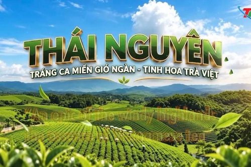 Thái Nguyên: Tráng ca miền gió ngàn - Tinh hoa trà Việt