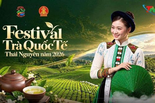 (ĐẾM NGƯỢC): Còn 1 ngày đến Festival Trà Quốc tế - Thái Nguyên 2026