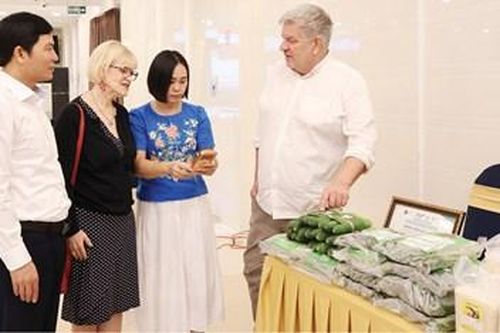 Nâng tầm kinh tế tập thể từ liên kết sản xuất