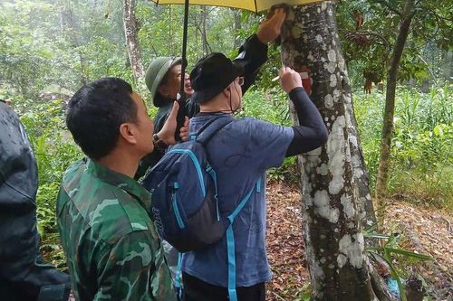 Quảng Trị: áp dụng thử nghiệm hệ thống chỉ dẫn đường mòn Czech the Trail tại Vườn Quốc gia Phong Nha-Kẻ Bàng