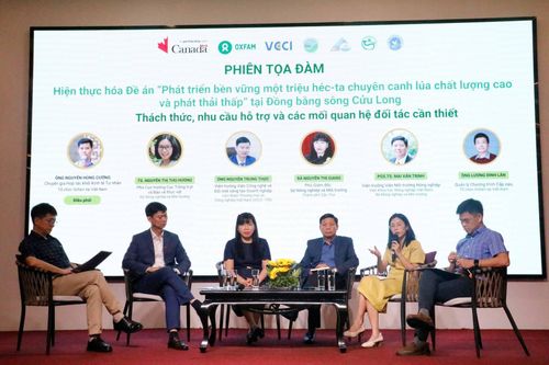 ĐBSCL: Hướng tới chuỗi giá trị lúa gạo chất lượng cao, phát thải thấp, phát triển bền vững