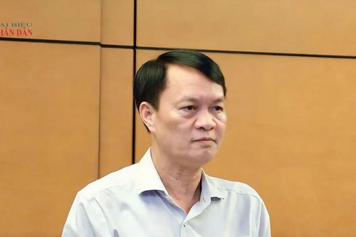 Kiểm soát chặt hoạt động lấn biển, bảo vệ sinh kế người dân