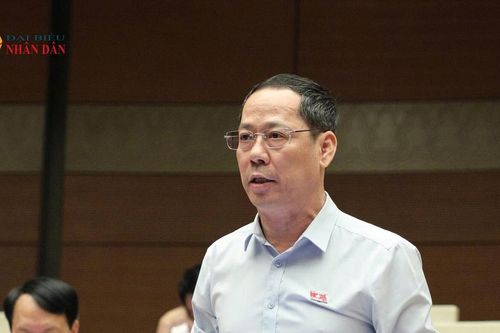 Có đất sản xuất phù hợp để bảo đảm sinh kế cho đồng bào dân tộc thiểu số