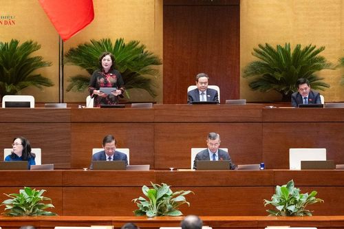 Ngăn chặn tình trạng doanh nghiệp lớn 'núp bóng' doanh nghiệp nhỏ