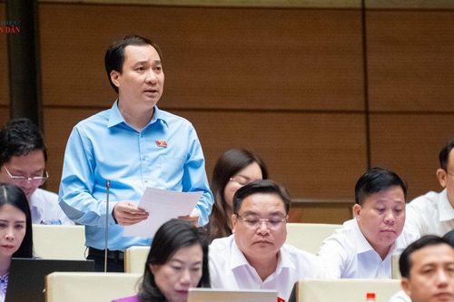 Lấy an cư, lạc nghiệp làm 'cái gốc' của an sinh