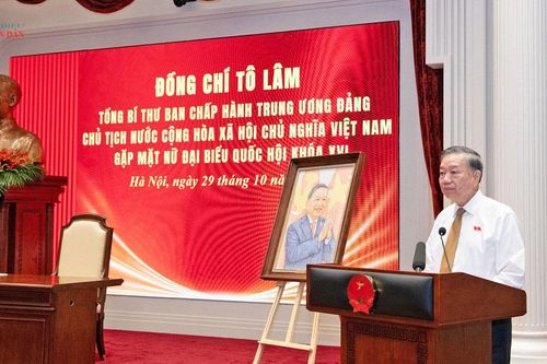 Phát huy trí tuệ nữ đại biểu Quốc hội trong các quyết sách