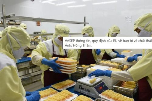 Lộ trình sẵn sàng PPWR cho doanh nghiệp bao bì: Những việc cần làm từ hôm nay