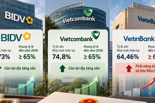 Nhà nước giữ gì, nhường gì tại loạt doanh nghiệp lớn?
