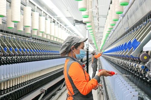Sợi Thế Kỷ tăng doanh thu nhưng chưa thoát lỗ, gánh nặng lãi vay đè nặng