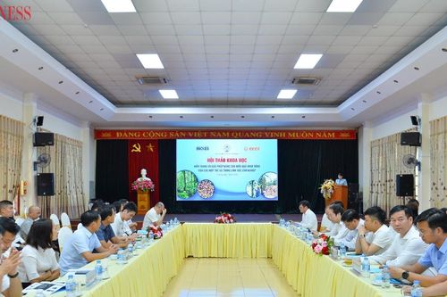 HTX lâm nghiệp mất cơ hội tăng gấp 3 lần lợi nhuận vì bán gỗ thô