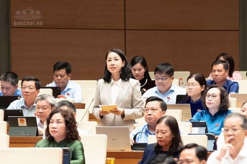 ĐBQH: Tạo điều kiện để hàng triệu 'chim sẻ của nền kinh tế' phát triển