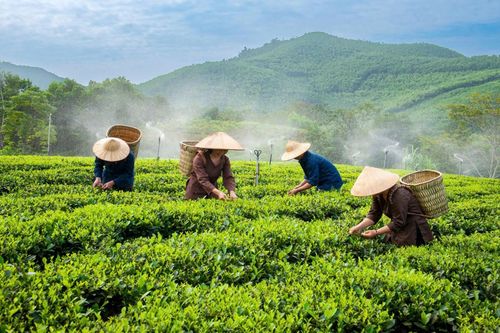 [Emagazine] Tài chính toàn diện khơi thông nguồn lực, kiến tạo nông thôn thịnh vượng - Kỳ 1