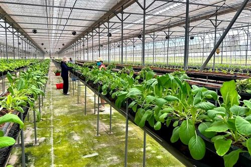 VIFTA: Từ cánh cửa thương mại đến cầu nối công nghệ và chuỗi giá trị