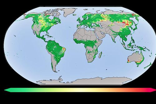 Vệ tinh NASA săn sắc đỏ mùa thu từ không gian