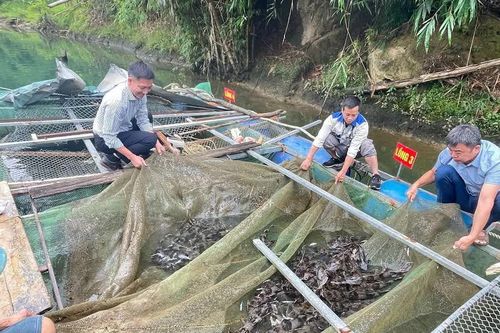 Khuyến khích phát triển cá nhân, nhóm cá nhân, doanh nghiệp khởi nghiệp sáng tạo