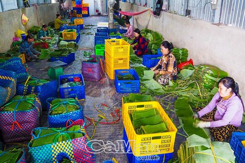 Nghề phụ thêm nguồn thu