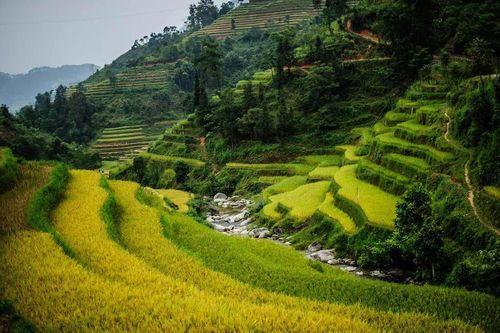 Cuối năm du lịch Tuyên Quang, 7 điểm đến khiến hội mê xê dịch chẳng muốn về