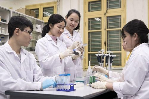 Nhóm nghiên cứu mạnh tại đại học sẽ được đánh giá theo tiêu chí nào?