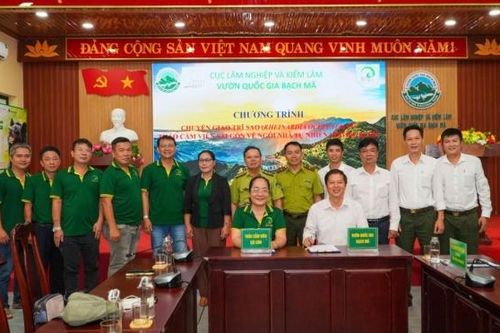VQG Bạch Mã tiếp nhận chim trĩ sao, tăng cường bảo tồn đa dạng sinh học