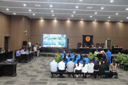 Nhân viên của Mr Pips khai lý do bất ngờ không kêu gọi được người thân đầu tư