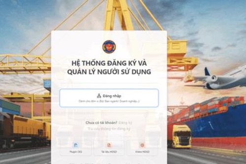 Hải quan sẽ khóa tài khoản khai báo của doanh nghiệp chưa làm sạch dữ liệu sau ngày 31-12-2026