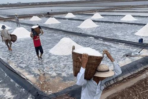 Cà Mau đặt mục tiêu nâng giá trị sản phẩm muối ít nhất 30% đến năm 2030