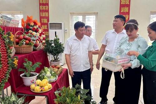Đưa cuộc vận động 'Người Việt Nam ưu tiên dùng hàng Việt Nam' đi vào thực chất