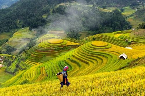 Du khách Việt ưu tiên lựa chọn những trải nghiệm ý nghĩa, linh hoạt trước biến động