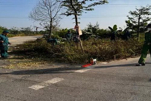 Phát quang cây cối, đảm bảo trật tự an toàn giao thông