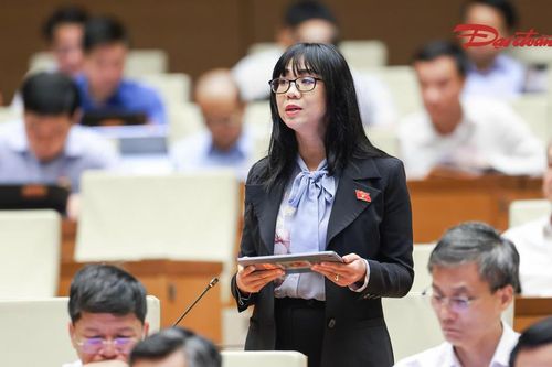 ĐBQH đề nghị làm rõ thời điểm xác lập quyền sở hữu đối với bất động sản thuê mua