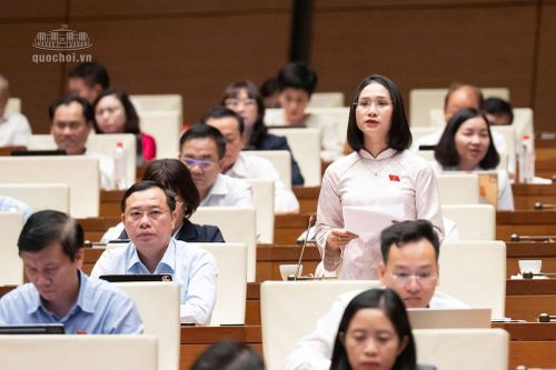 ĐBQH đề nghị rà soát hiệu quả sử dụng thiết chế văn hóa, phân bổ nguồn lực theo nhu cầu