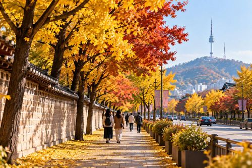 Hàn Quốc:Khám phá 110 cung đường ngập sắc lá vàng giữa lòng Seoul