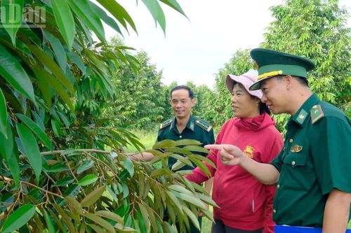 Đồng Nai: Tạo thế và lực mới cho vùng biên giới Tân Tiến